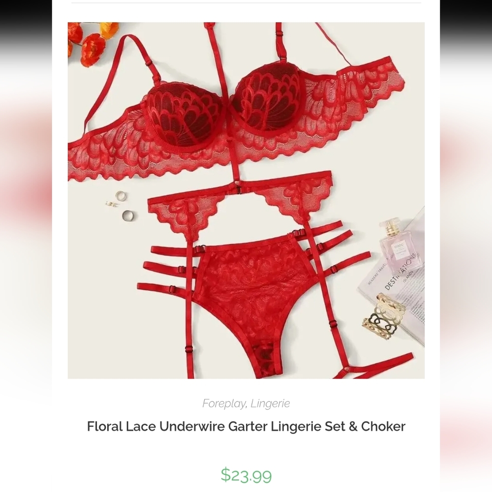 NWOT Floral Lace Underwire Garter Lingerie Set & Choker